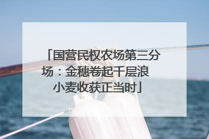 国营民权农场第三分场：金穗卷起千层浪 小麦收获正当时