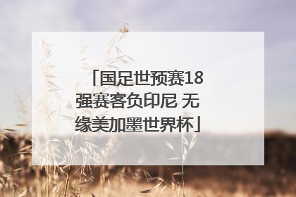 国足世预赛18强赛客负印尼 无缘美加墨世界杯