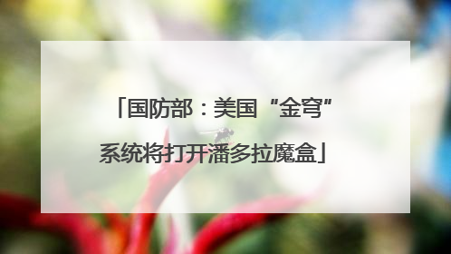 国防部：美国“金穹”系统将打开潘多拉魔盒