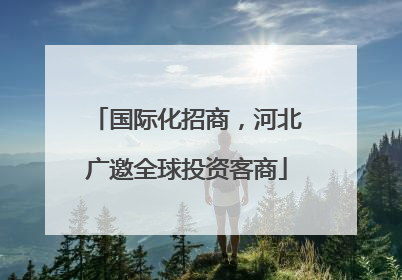 国际化招商，河北广邀全球投资客商