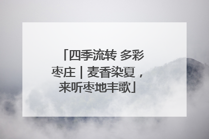 四季流转 多彩枣庄｜麦香染夏，来听枣地丰歌