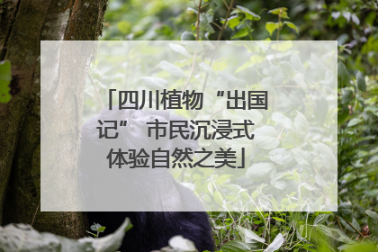 四川植物“出国记” 市民沉浸式体验自然之美