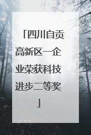四川自贡高新区一企业荣获科技进步二等奖