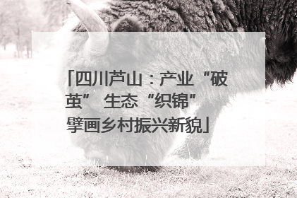 四川芦山：产业“破茧” 生态“织锦” 擘画乡村振兴新貌