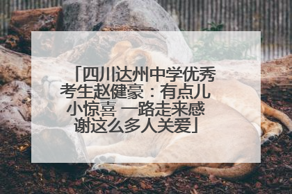 四川达州中学优秀考生赵健豪：有点儿小惊喜 一路走来感谢这么多人关爱
