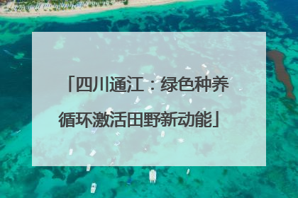 四川通江：绿色种养循环激活田野新动能