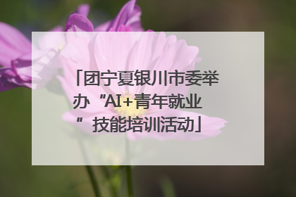 团宁夏银川市委举办“AI+青年就业”技能培训活动