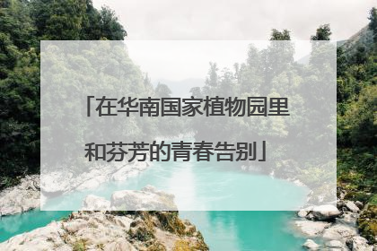 在华南国家植物园里和芬芳的青春告别