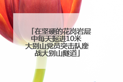 在坚硬的花岗岩层中每天掘进10米 大别山党员突击队鏖战大别山隧道