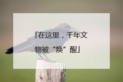 在这里，千年文物被“焕”醒