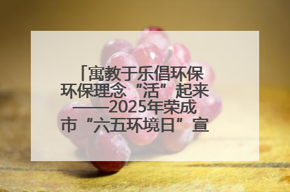 寓教于乐倡环保 环保理念“活”起来——2025年荣成市“六五环境日”宣传活动圆满举行