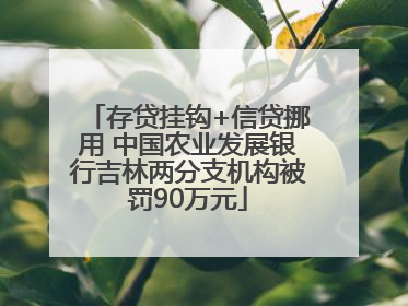 存贷挂钩+信贷挪用 中国农业发展银行吉林两分支机构被罚90万元