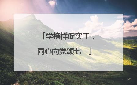 学榜样促实干，同心向党颂七一