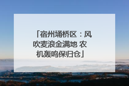 宿州埇桥区：风吹麦浪金满地 农机轰鸣保归仓
