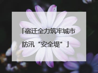 宿迁全力筑牢城市防汛“安全堤”