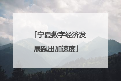 宁夏数字经济发展跑出加速度