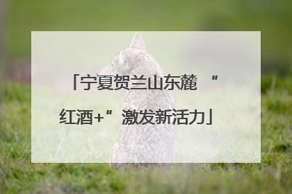 宁夏贺兰山东麓 “红酒+”激发新活力