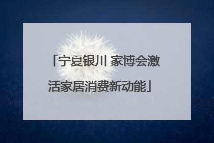 宁夏银川 家博会激活家居消费新动能