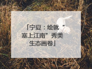 宁夏：绘就“塞上江南”秀美生态画卷