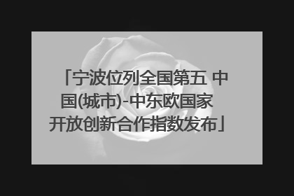 宁波位列全国第五 中国(城市)-中东欧国家开放创新合作指数发布