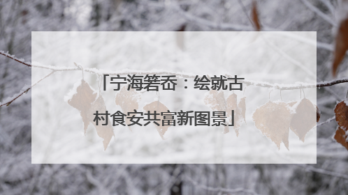 宁海箬岙：绘就古村食安共富新图景