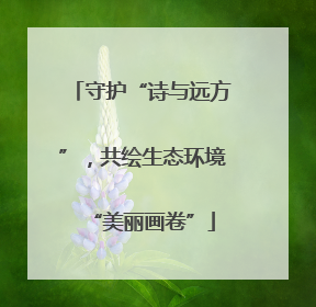 守护“诗与远方”，共绘生态环境“美丽画卷”