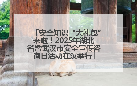 安全知识“大礼包”来啦！2025年湖北省暨武汉市安全宣传咨询日活动在汉举行