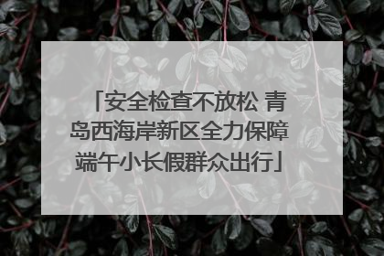 安全检查不放松 青岛西海岸新区全力保障端午小长假群众出行