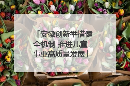 安徽创新举措健全机制 推进儿童事业高质量发展