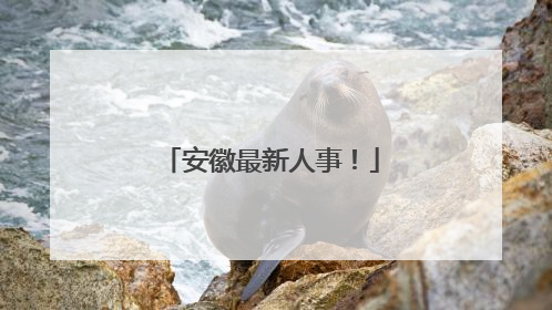 安徽最新人事！