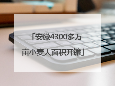 安徽4300多万亩小麦大面积开镰