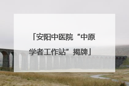 安阳中医院“中原学者工作站”揭牌