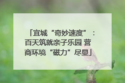 宜城“奇妙速度”：百天筑就亲子乐园 营商环境“磁力”尽显