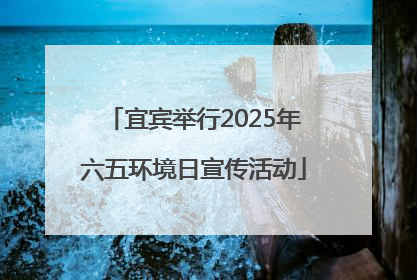 宜宾举行2025年六五环境日宣传活动
