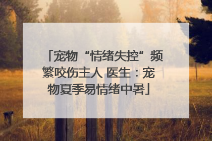 宠物“情绪失控”频繁咬伤主人 医生：宠物夏季易情绪中暑