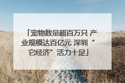 宠物数量超百万只 产业规模达百亿元 深圳“它经济”活力十足