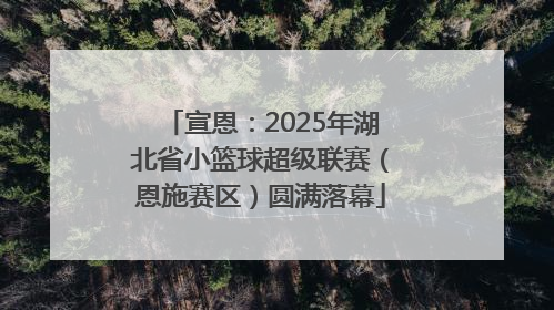 宣恩：2025年湖北省小篮球超级联赛（恩施赛区）圆满落幕