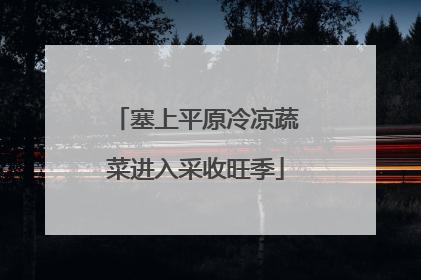 塞上平原冷凉蔬菜进入采收旺季