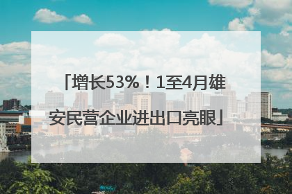 增长53%！1至4月雄安民营企业进出口亮眼