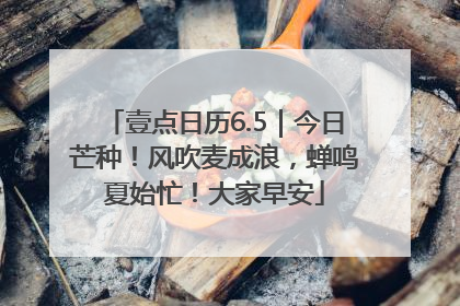 壹点日历6.5｜今日芒种！风吹麦成浪，蝉鸣夏始忙！大家早安