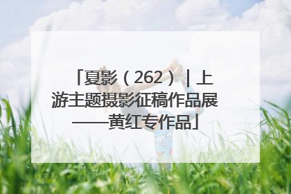 夏影（262）｜上游主题摄影征稿作品展——黄红专作品