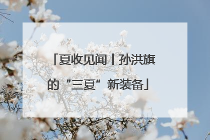夏收见闻丨孙洪旗的“三夏”新装备
