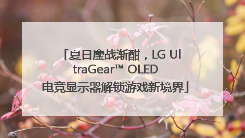 夏日鏖战渐酣，LG UltraGear™ OLED电竞显示器解锁游戏新境界