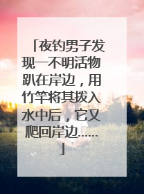 夜钓男子发现一不明活物趴在岸边，用竹竿将其拨入水中后，它又爬回岸边……