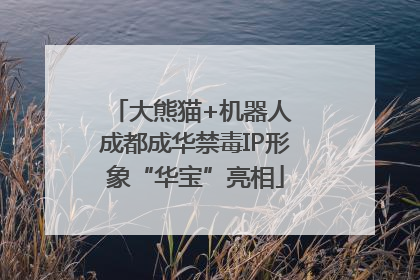 大熊猫+机器人 成都成华禁毒IP形象“华宝”亮相