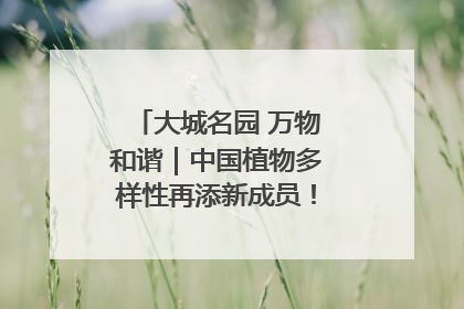 大城名园 万物和谐｜中国植物多样性再添新成员！它只在西藏墨脱