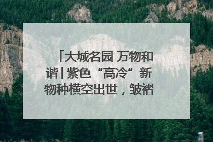 大城名园 万物和谐│紫色“高冷”新物种横空出世，皱褶叶片暗藏进化密码