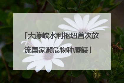 大藤峡水利枢纽首次放流国家濒危物种唇鲮