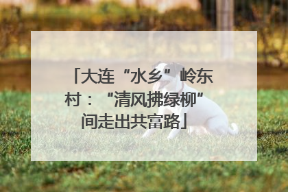 大连“水乡”岭东村：“清风拂绿柳”间走出共富路