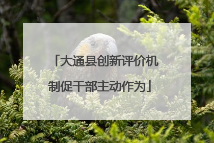 大通县创新评价机制促干部主动作为